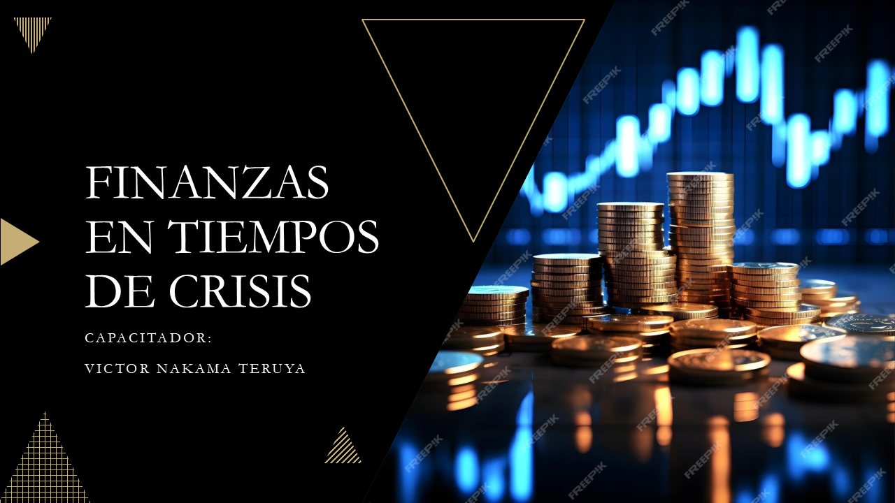 Finanzas en Tiempo de Crisis 2024